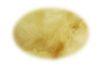 Mundorf Twaron Angel Hair (200 g)